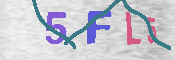 CAPTCHA 驗證圖片