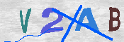CAPTCHA 驗證圖片