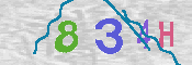 CAPTCHA 驗證圖片