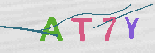 CAPTCHA 驗證圖片