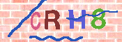 CAPTCHA 驗證圖片
