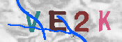 CAPTCHA 驗證圖片