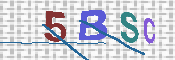 CAPTCHA 驗證圖片