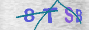 CAPTCHA 驗證圖片