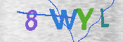CAPTCHA 驗證圖片