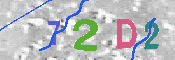 CAPTCHA 驗證圖片