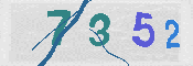 CAPTCHA 驗證圖片