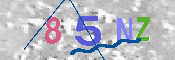 CAPTCHA 驗證圖片