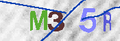 CAPTCHA 驗證圖片