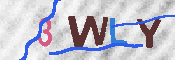 CAPTCHA 驗證圖片