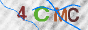 CAPTCHA 驗證圖片