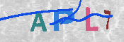 CAPTCHA 驗證圖片