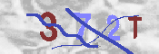 CAPTCHA 驗證圖片