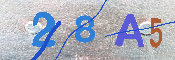 CAPTCHA 驗證圖片