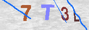 CAPTCHA 驗證圖片