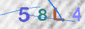 CAPTCHA 驗證圖片