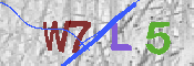 CAPTCHA 驗證圖片