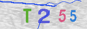 CAPTCHA 驗證圖片