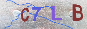 CAPTCHA 驗證圖片