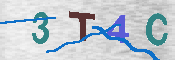 CAPTCHA 驗證圖片