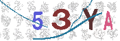 CAPTCHA 驗證圖片