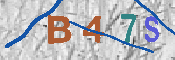 CAPTCHA 驗證圖片