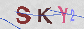 CAPTCHA 驗證圖片