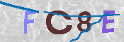 CAPTCHA 驗證圖片