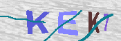 CAPTCHA 驗證圖片
