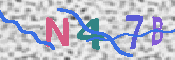CAPTCHA 驗證圖片