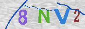 CAPTCHA 驗證圖片