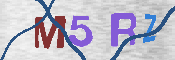 CAPTCHA 驗證圖片