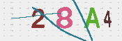 CAPTCHA 驗證圖片