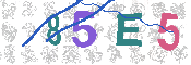 CAPTCHA 驗證圖片