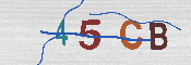CAPTCHA 驗證圖片