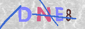 CAPTCHA 驗證圖片