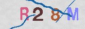 CAPTCHA 驗證圖片