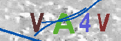 CAPTCHA 驗證圖片