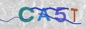 CAPTCHA 驗證圖片