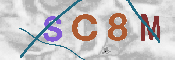 CAPTCHA 驗證圖片