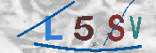 CAPTCHA 驗證圖片