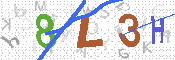 CAPTCHA 驗證圖片