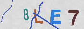 CAPTCHA 驗證圖片