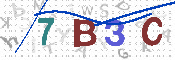 CAPTCHA 驗證圖片