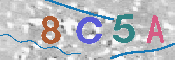 CAPTCHA 驗證圖片