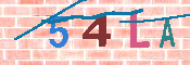 CAPTCHA 驗證圖片