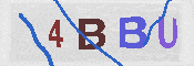 CAPTCHA 驗證圖片
