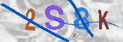 CAPTCHA 驗證圖片