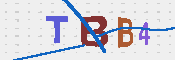 CAPTCHA 驗證圖片