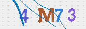 CAPTCHA 驗證圖片
